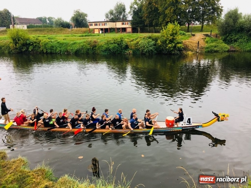Zdjęcie w galerii na portalu naszraciborz.pl: Na Odrze w Bohuminie ścigają się smocze łodzie  wiadomości z regionu