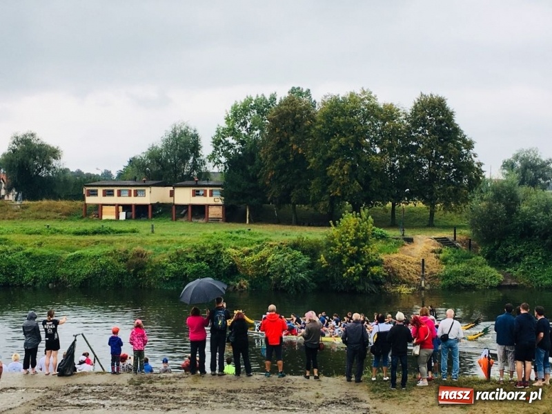 Zdjęcie w galerii na portalu naszraciborz.pl: Na Odrze w Bohuminie ścigają się smocze łodzie  wiadomości z regionu