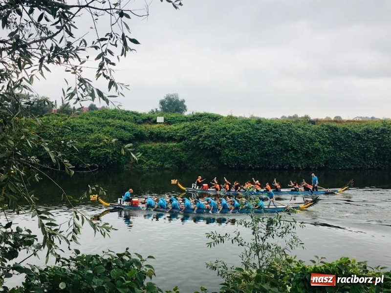 Zdjęcie w galerii na portalu naszraciborz.pl: Na Odrze w Bohuminie ścigają się smocze łodzie  wiadomości z regionu