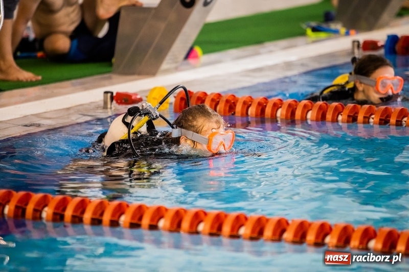 Zdjęcie w galerii na portalu naszraciborz.pl: I Mistrzostwa Polski w Płetwonurkowaniu wiadomości z regionu
