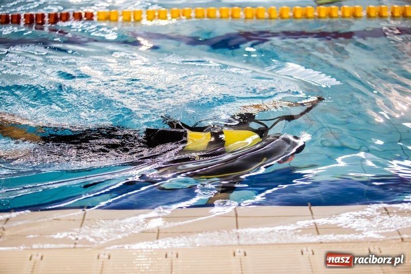 Zdjęcie w galerii na portalu naszraciborz.pl: I Mistrzostwa Polski w Płetwonurkowaniu wiadomości z regionu