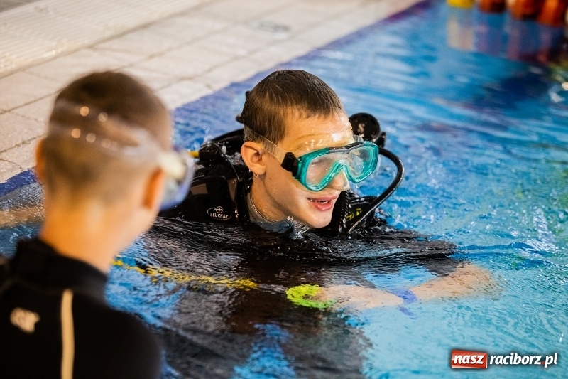 Zdjęcie w galerii na portalu naszraciborz.pl: I Mistrzostwa Polski w Płetwonurkowaniu wiadomości z regionu
