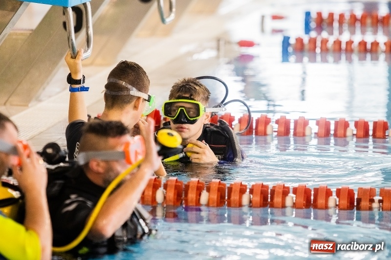 Zdjęcie w galerii na portalu naszraciborz.pl: I Mistrzostwa Polski w Płetwonurkowaniu wiadomości z regionu