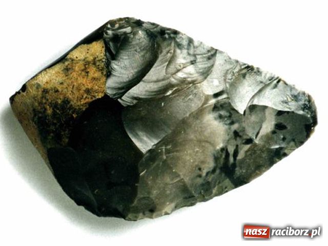 Zdjęcie w galerii na portalu naszraciborz.pl: Niezwykłe znalezisko spod Raciborza wiadomości z regionu