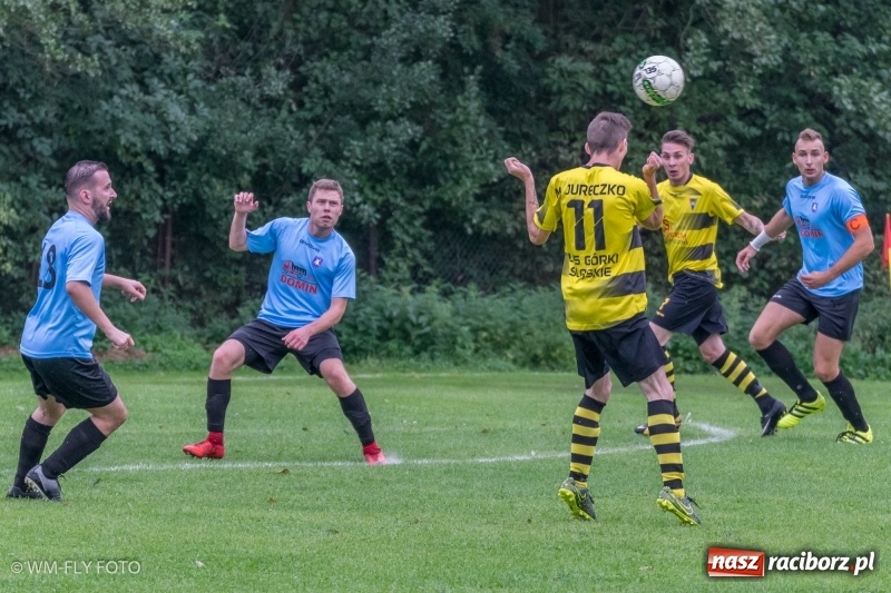 Zdjęcie w galerii na portalu naszraciborz.pl: Górki Śląskie nie zwalniają tempa. Cztery mecze i cztery wygrane wiadomości z regionu