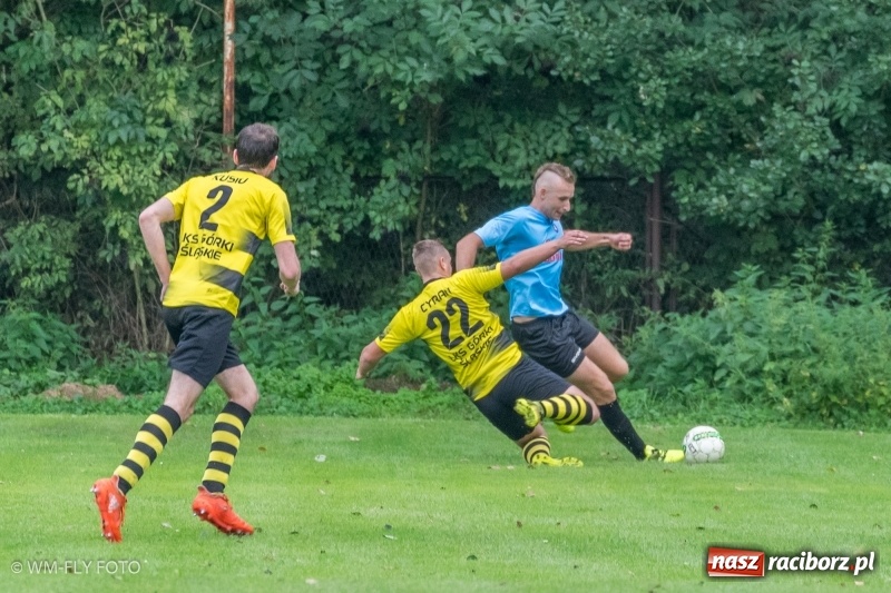 Zdjęcie w galerii na portalu naszraciborz.pl: Górki Śląskie nie zwalniają tempa. Cztery mecze i cztery wygrane wiadomości z regionu