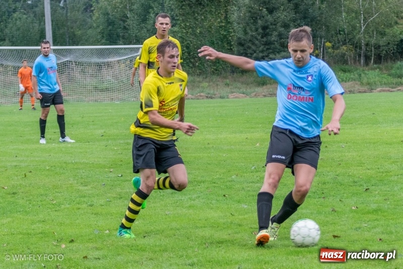 Zdjęcie w galerii na portalu naszraciborz.pl: Górki Śląskie nie zwalniają tempa. Cztery mecze i cztery wygrane wiadomości z regionu