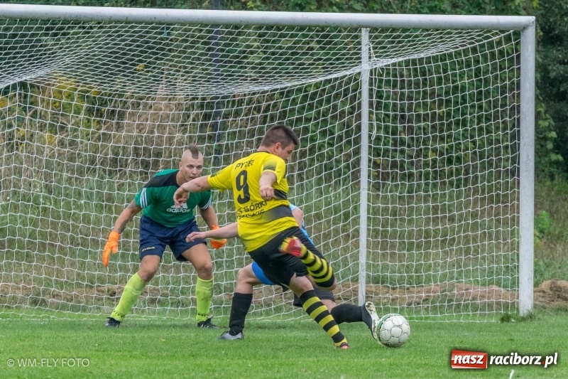 Zdjęcie w galerii na portalu naszraciborz.pl: Górki Śląskie nie zwalniają tempa. Cztery mecze i cztery wygrane wiadomości z regionu