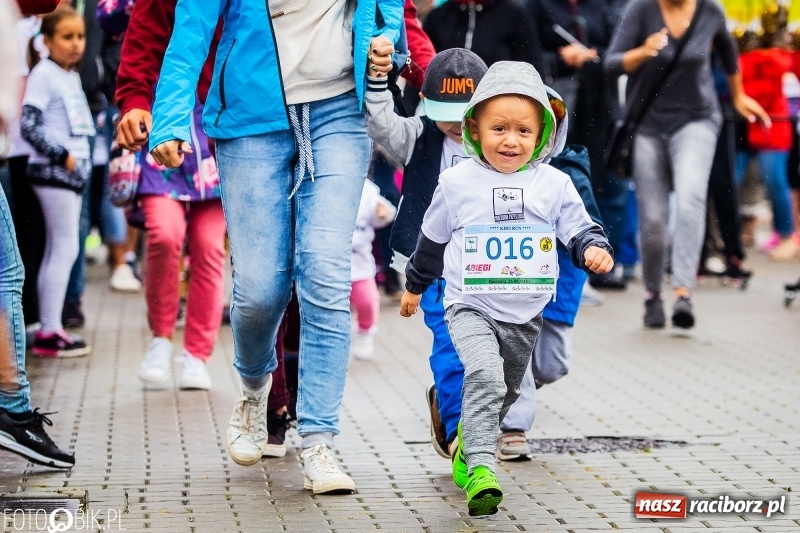 Zdjęcie w galerii na portalu naszraciborz.pl: Bieg dla najmłodszych, czyli Kids Run 2018 FOTO i WIDEO wiadomości z regionu
