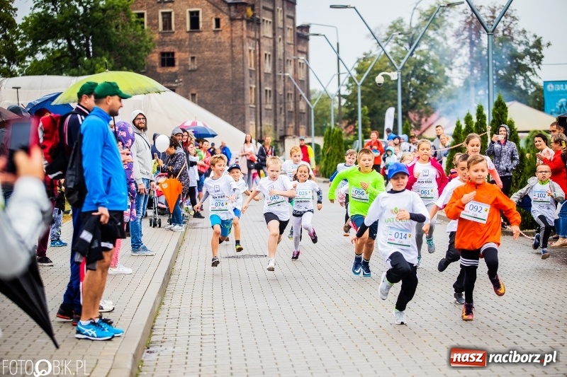 Zdjęcie w galerii na portalu naszraciborz.pl: Bieg dla najmłodszych, czyli Kids Run 2018 FOTO i WIDEO wiadomości z regionu