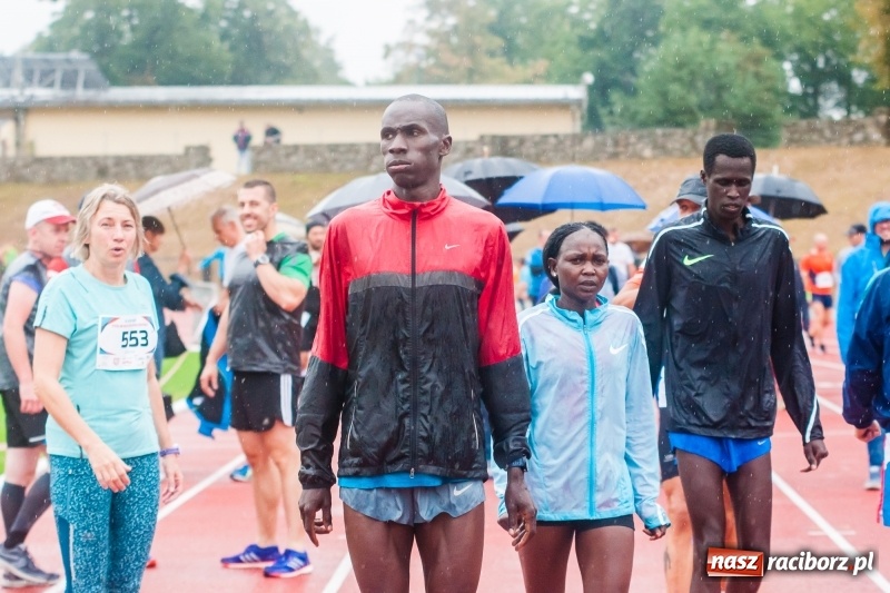 Zdjęcie w galerii na portalu naszraciborz.pl: V RAFAKO Półmaraton Racibórz - bramka otwarta wiadomości z regionu