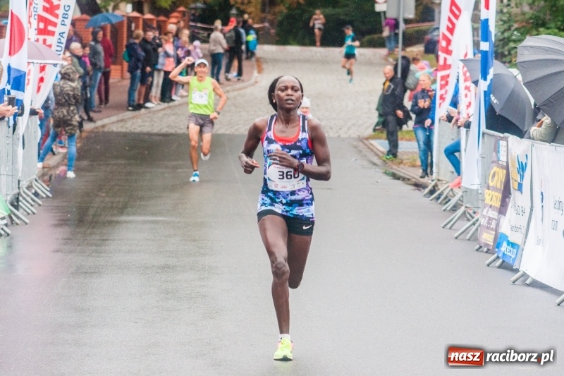 Zdjęcie w galerii na portalu naszraciborz.pl: V RAFAKO Półmaraton Racibórz - bramka otwarta wiadomości z regionu