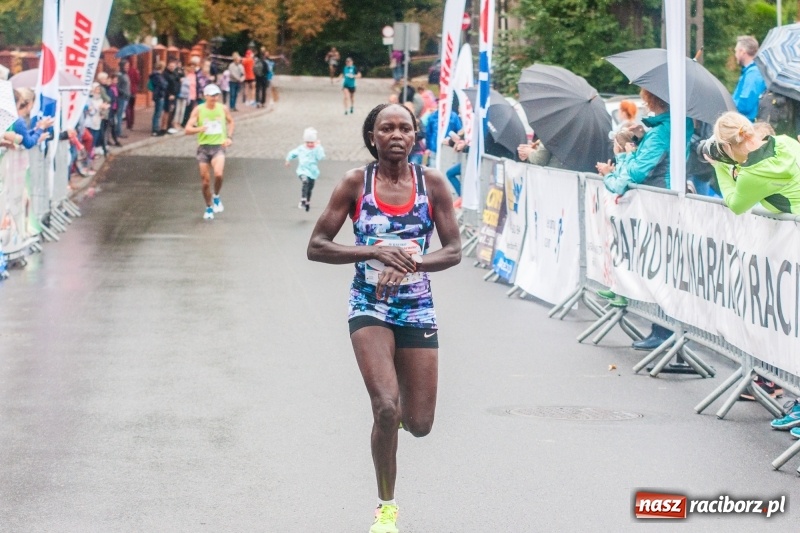 Zdjęcie w galerii na portalu naszraciborz.pl: V RAFAKO Półmaraton Racibórz - bramka otwarta wiadomości z regionu