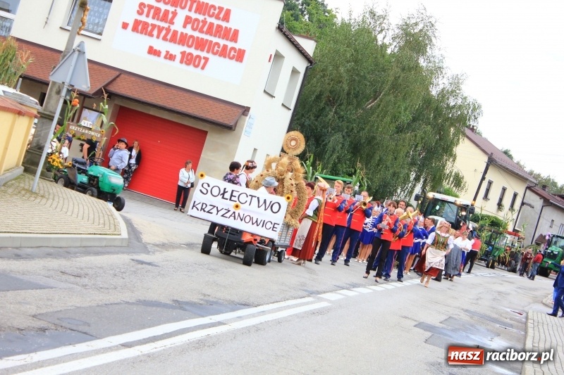 Zdjęcie w galerii na portalu naszraciborz.pl: Dożynki 2018. Tak się bawią Krzyżanowice wiadomości z regionu
