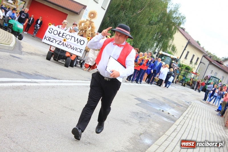 Zdjęcie w galerii na portalu naszraciborz.pl: Dożynki 2018. Tak się bawią Krzyżanowice wiadomości z regionu