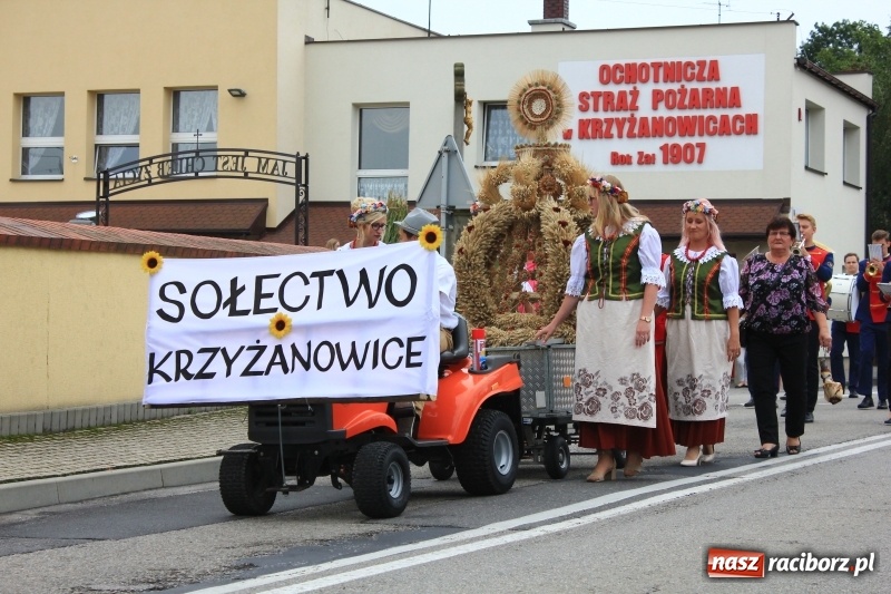 Zdjęcie w galerii na portalu naszraciborz.pl: Dożynki 2018. Tak się bawią Krzyżanowice wiadomości z regionu