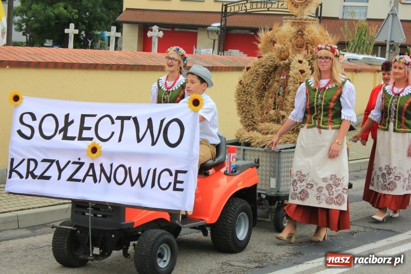 Zdjęcie w galerii na portalu naszraciborz.pl: Dożynki 2018. Tak się bawią Krzyżanowice wiadomości z regionu