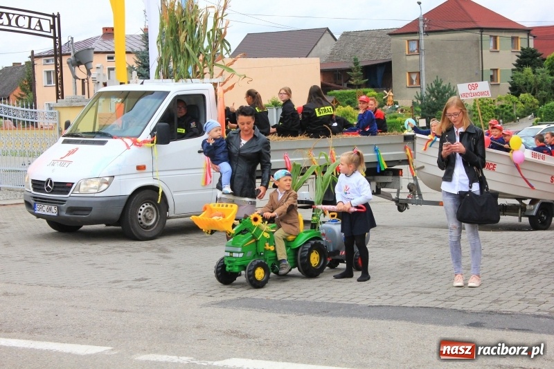 Zdjęcie w galerii na portalu naszraciborz.pl: Dożynki 2018. Tak się bawią Krzyżanowice wiadomości z regionu