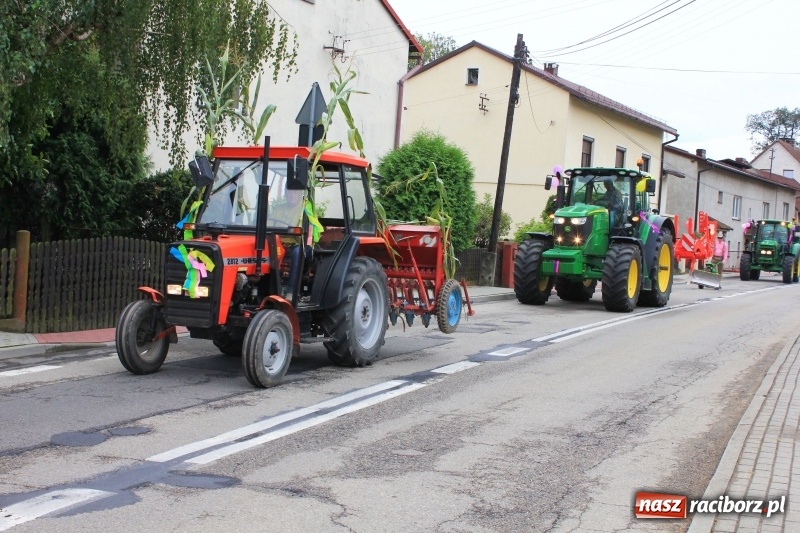 Zdjęcie w galerii na portalu naszraciborz.pl: Dożynki 2018. Tak się bawią Krzyżanowice wiadomości z regionu