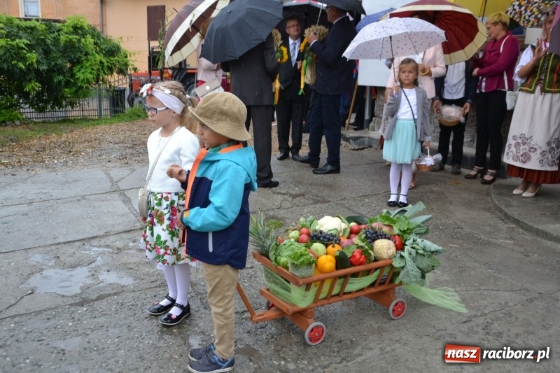 Zdjęcie w galerii na portalu naszraciborz.pl: Dożynki 2018. Tak się bawią Krzyżanowice wiadomości z regionu