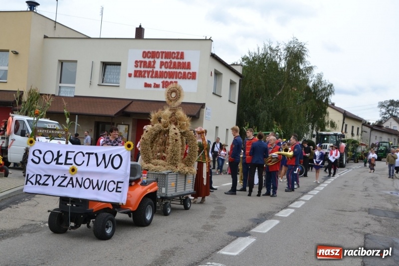 Zdjęcie w galerii na portalu naszraciborz.pl: Dożynki 2018. Tak się bawią Krzyżanowice wiadomości z regionu