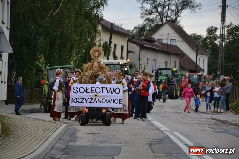 Zdjęcie w galerii na portalu naszraciborz.pl: Dożynki 2018. Tak się bawią Krzyżanowice wiadomości z regionu