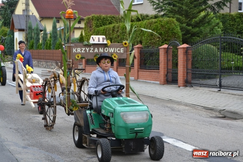 Zdjęcie w galerii na portalu naszraciborz.pl: Dożynki 2018. Tak się bawią Krzyżanowice wiadomości z regionu