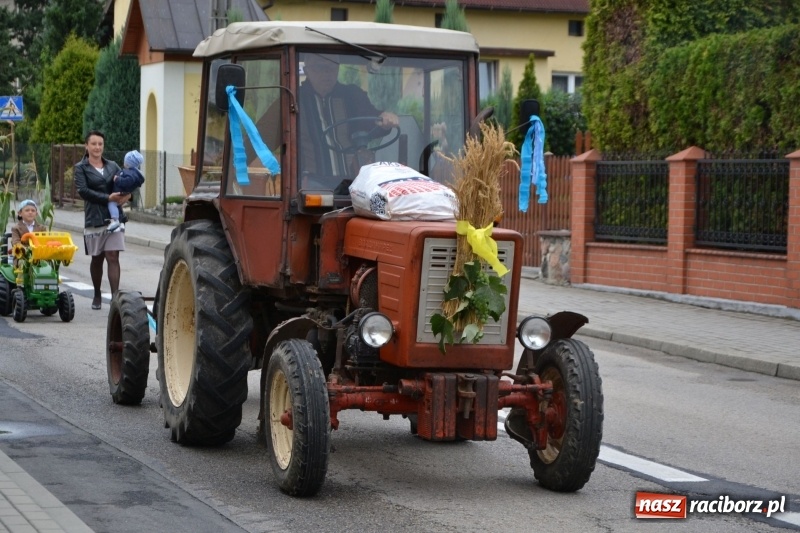 Zdjęcie w galerii na portalu naszraciborz.pl: Dożynki 2018. Tak się bawią Krzyżanowice wiadomości z regionu