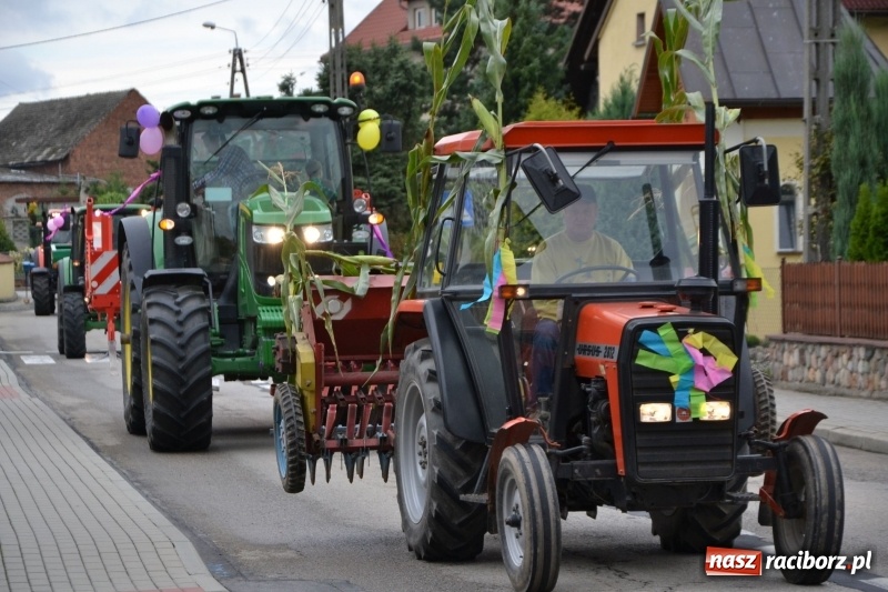 Zdjęcie w galerii na portalu naszraciborz.pl: Dożynki 2018. Tak się bawią Krzyżanowice wiadomości z regionu