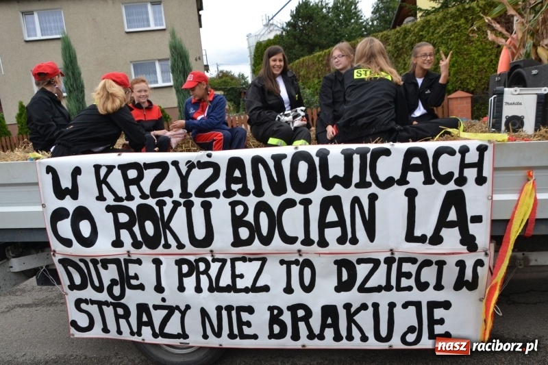 Zdjęcie w galerii na portalu naszraciborz.pl: Dożynki 2018. Tak się bawią Krzyżanowice wiadomości z regionu