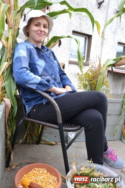 Zdjęcie w galerii na portalu naszraciborz.pl: Owsiszcze dziękują za plony wiadomości z regionu