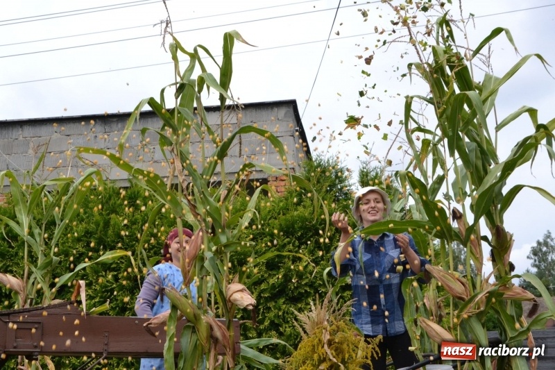 Zdjęcie w galerii na portalu naszraciborz.pl: Owsiszcze dziękują za plony wiadomości z regionu