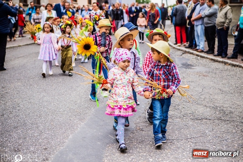 Zdjęcie w galerii na portalu naszraciborz.pl: Powiatowe Dożynki KRZANOWICE 2018  wiadomości z regionu