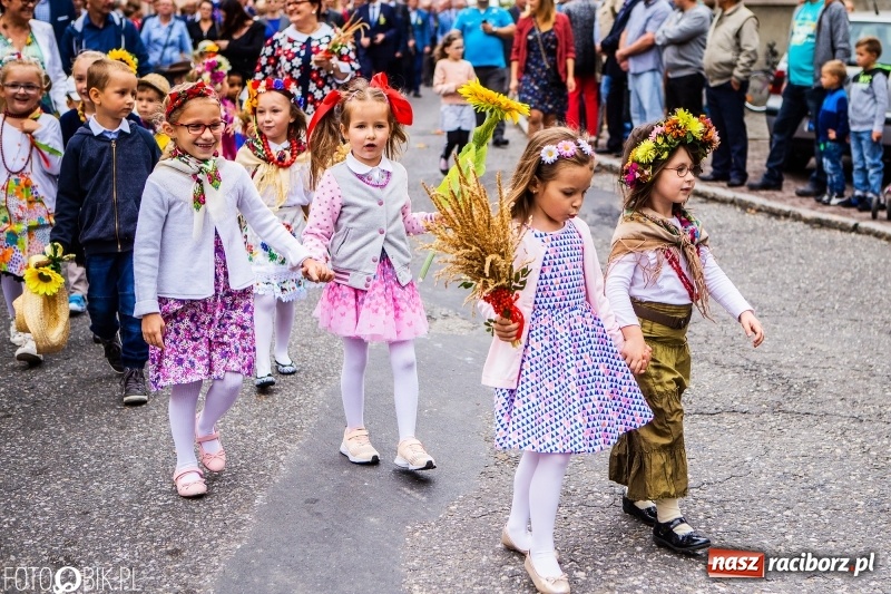 Zdjęcie w galerii na portalu naszraciborz.pl: Powiatowe Dożynki KRZANOWICE 2018  wiadomości z regionu