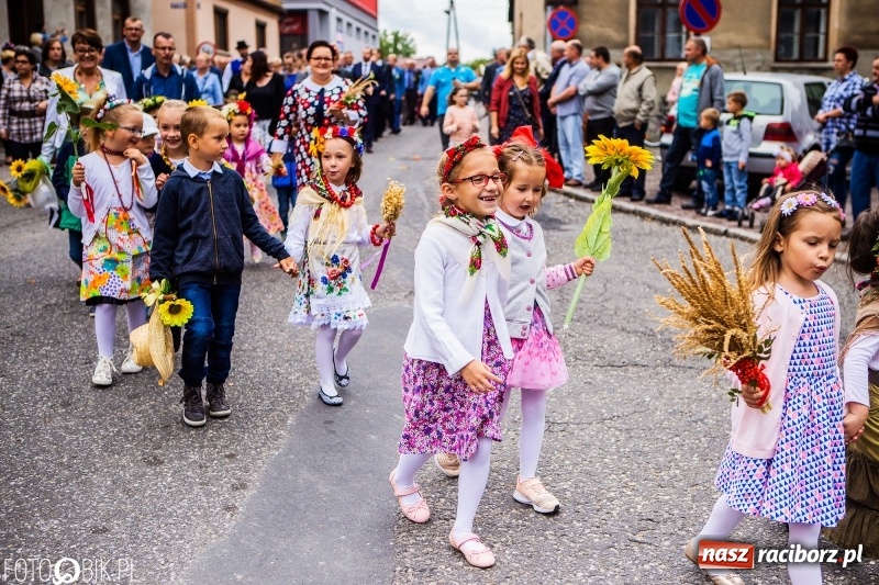 Zdjęcie w galerii na portalu naszraciborz.pl: Powiatowe Dożynki KRZANOWICE 2018  wiadomości z regionu
