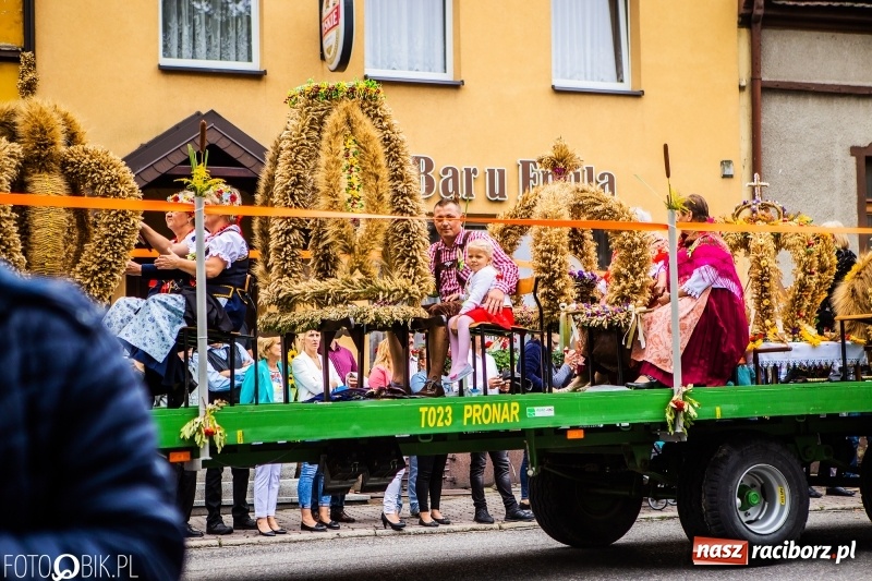 Zdjęcie w galerii na portalu naszraciborz.pl: Powiatowe Dożynki KRZANOWICE 2018  wiadomości z regionu