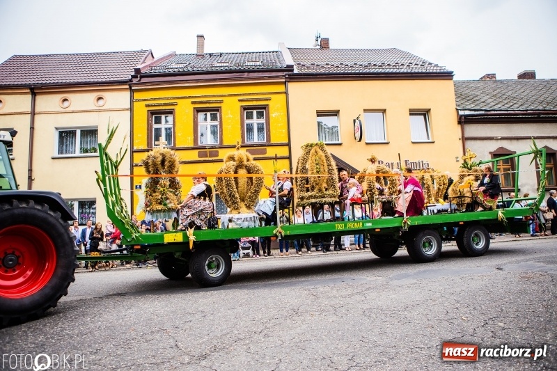 Zdjęcie w galerii na portalu naszraciborz.pl: Powiatowe Dożynki KRZANOWICE 2018  wiadomości z regionu