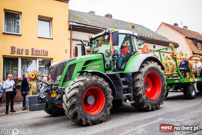 Zdjęcie w galerii na portalu naszraciborz.pl: Powiatowe Dożynki KRZANOWICE 2018  wiadomości z regionu