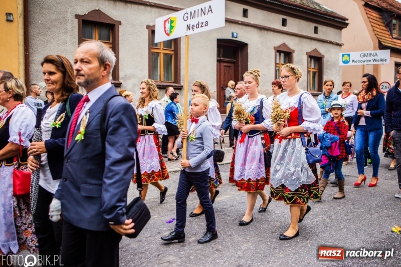 Zdjęcie w galerii na portalu naszraciborz.pl: Powiatowe Dożynki KRZANOWICE 2018  wiadomości z regionu