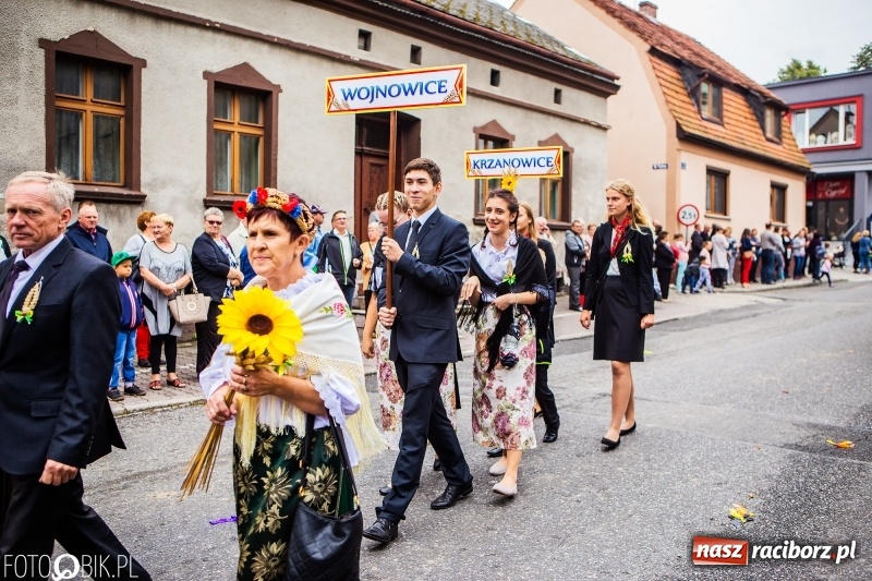Zdjęcie w galerii na portalu naszraciborz.pl: Powiatowe Dożynki KRZANOWICE 2018  wiadomości z regionu