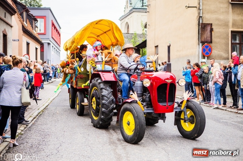Zdjęcie w galerii na portalu naszraciborz.pl: Powiatowe Dożynki KRZANOWICE 2018  wiadomości z regionu