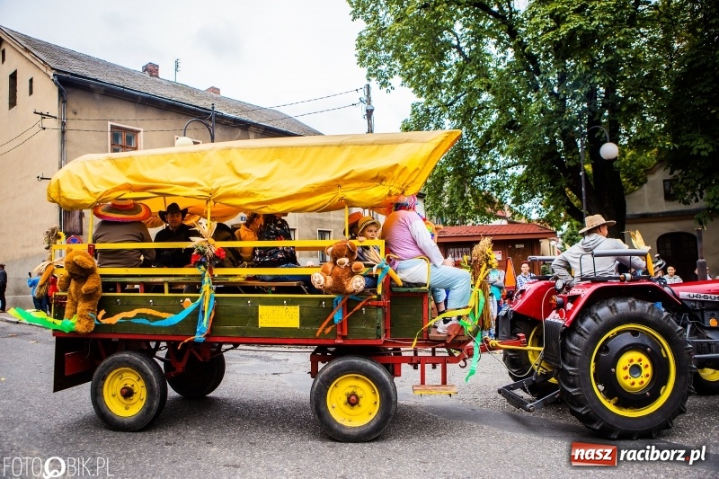 Zdjęcie w galerii na portalu naszraciborz.pl: Powiatowe Dożynki KRZANOWICE 2018  wiadomości z regionu
