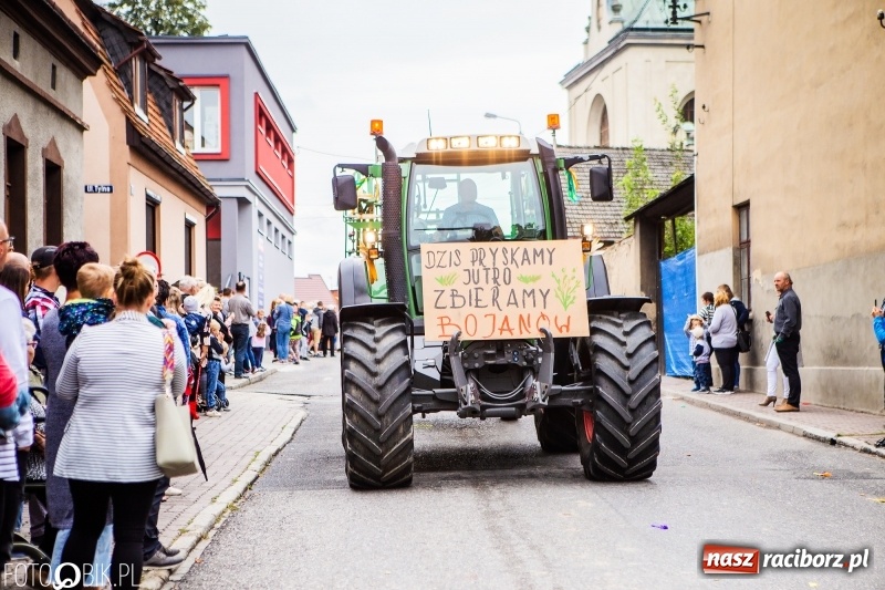Zdjęcie w galerii na portalu naszraciborz.pl: Powiatowe Dożynki KRZANOWICE 2018  wiadomości z regionu
