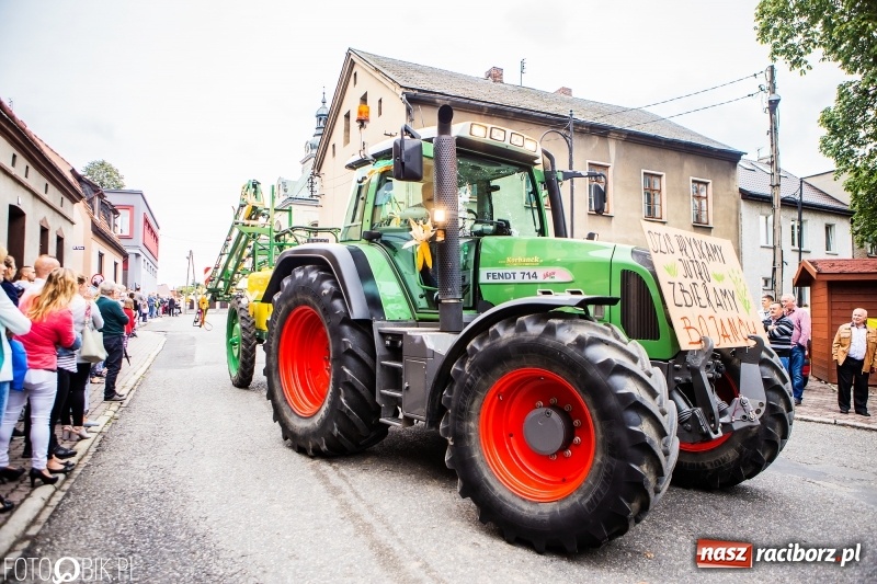 Zdjęcie w galerii na portalu naszraciborz.pl: Powiatowe Dożynki KRZANOWICE 2018  wiadomości z regionu