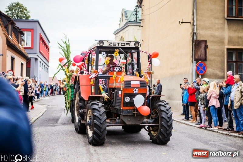 Zdjęcie w galerii na portalu naszraciborz.pl: Powiatowe Dożynki KRZANOWICE 2018  wiadomości z regionu