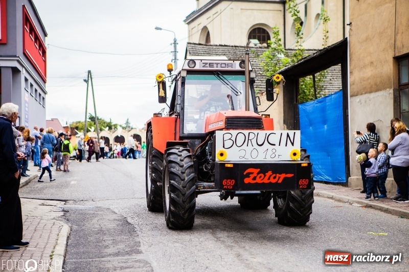 Zdjęcie w galerii na portalu naszraciborz.pl: Powiatowe Dożynki KRZANOWICE 2018  wiadomości z regionu