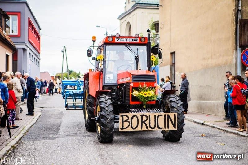 Zdjęcie w galerii na portalu naszraciborz.pl: Powiatowe Dożynki KRZANOWICE 2018  wiadomości z regionu