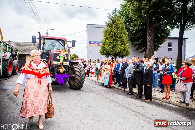 Zdjęcie w galerii na portalu naszraciborz.pl: Powiatowe Dożynki KRZANOWICE 2018  wiadomości z regionu