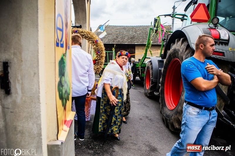 Zdjęcie w galerii na portalu naszraciborz.pl: Powiatowe Dożynki KRZANOWICE 2018  wiadomości z regionu