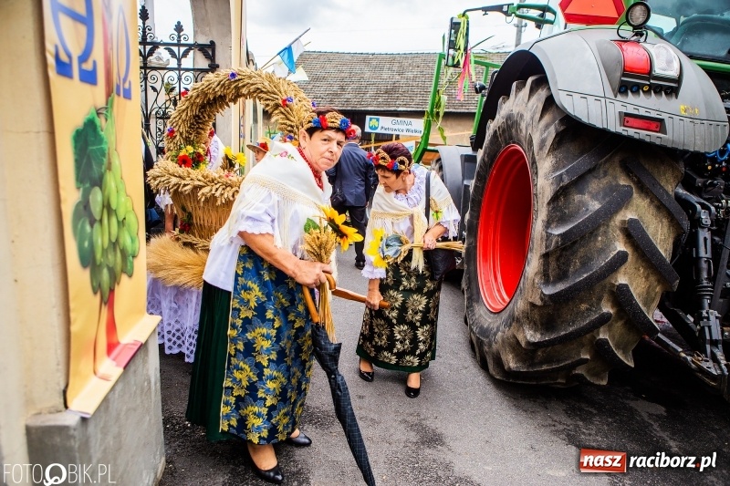 Zdjęcie w galerii na portalu naszraciborz.pl: Powiatowe Dożynki KRZANOWICE 2018  wiadomości z regionu